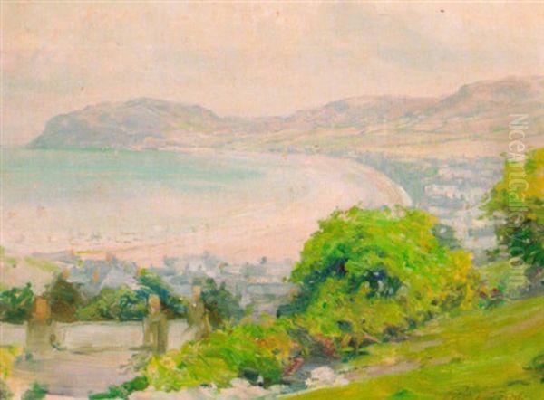 Cork Harbour, County Cork, Ireland - view 1