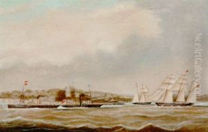 Paddlesteamers And Other Sailing Vessels Off Ryde Pier Paddlesteamers And Other Sailing Vessels Off Ryde Pier