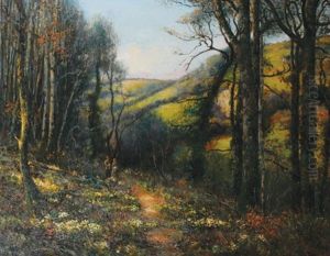 Primrose Path In Cornwall