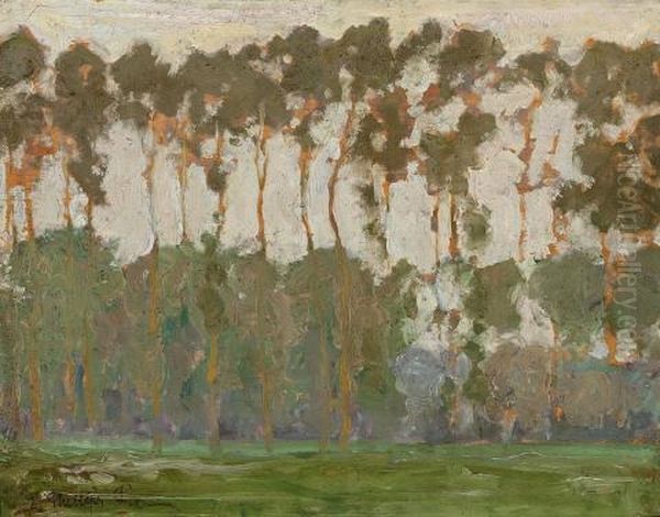 Poplars - view 1