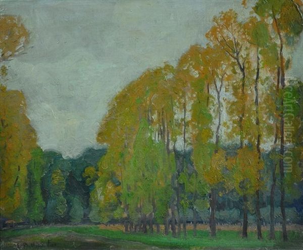 Avenue Of Trees, France - view 1