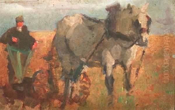 Ploughing - view 1