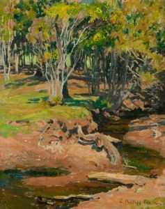 Creek & Scrub