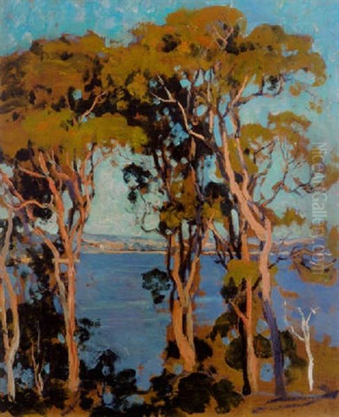 Gum Trees At Cremorne - view 1