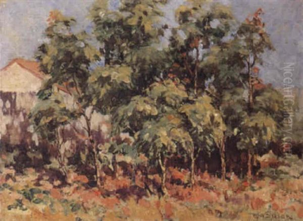 Homestead - view 1