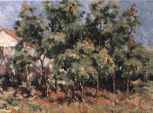 Castor Oil Trees, Brisbane by Ethel Carrick Fox