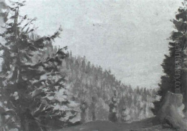 View In Kashmir: Forest Clearing - view 1