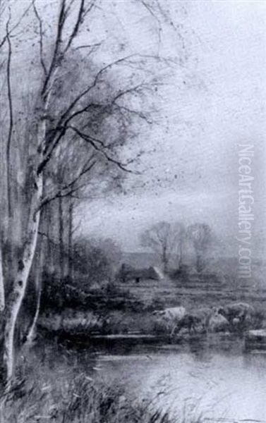 Cattle Watering At A Pool - view 1