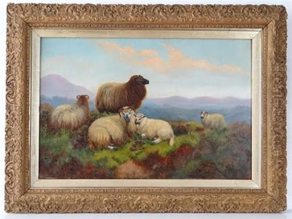 Sheep On The Moor - view 1