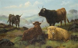 Highland Cattle by John Shirley Fox