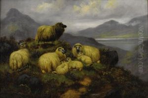 Sheep On A Hillside by John Shirley Fox