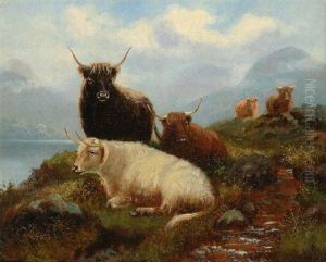 Schottische Hochlandrinder by John Shirley Fox