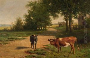 Cows On Country Road