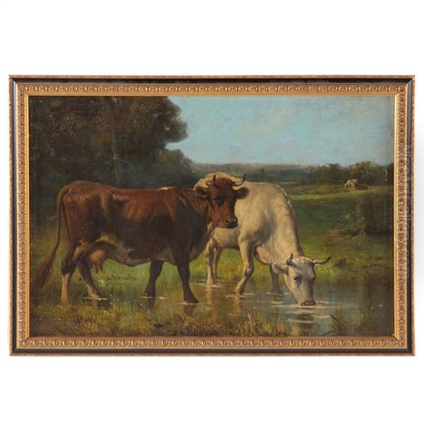 Cattle Watering - view 1
