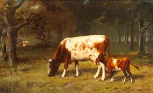 Cattle