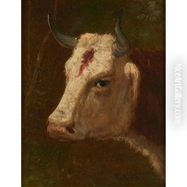 Head Of A Bull - view 1