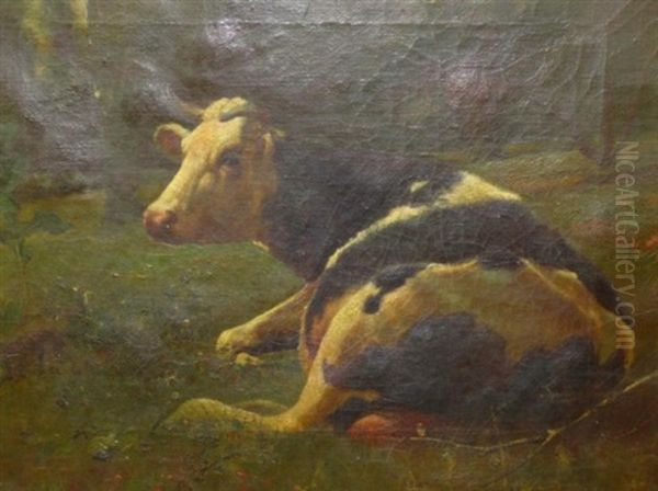 Resting Cow - view 1