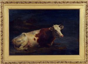 Cow By Stream