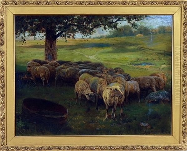 Pastoral Landscape With Sheep - view 1