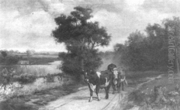 Cows On A Country Road - view 1