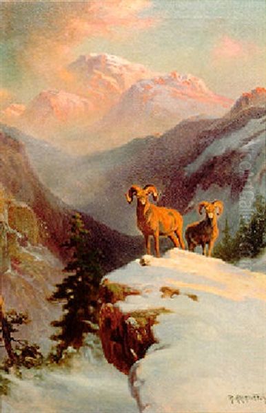 Bighorn Rams - view 1