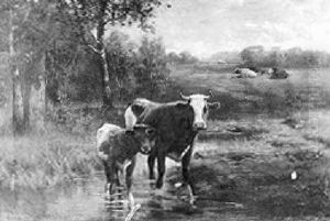 Cattle By A Stream
