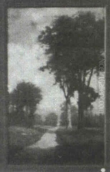 Road Through The Woods - view 1