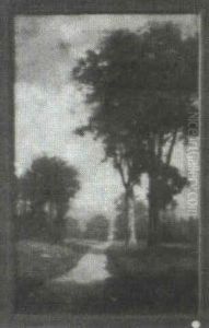 Road Through The Woods
