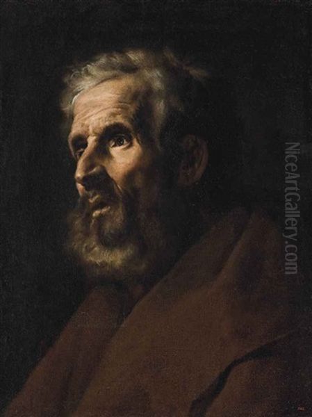 Head Study Of A Bearded Man - view 1