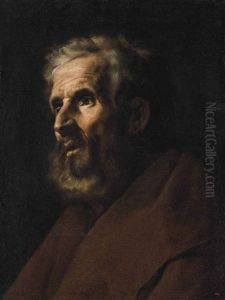 Head Study Of A Bearded Man by Francesco Fracanzano
