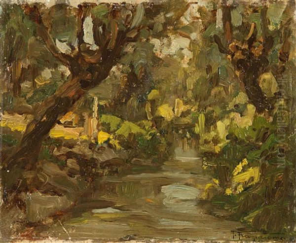 Scorcio Con Alberi E Ruscello - view 1