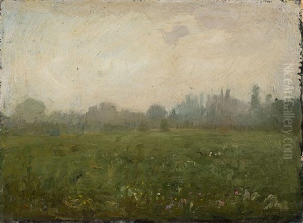 Paesaggio Uggioso - view 1