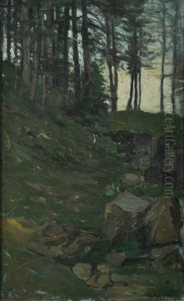 Il Bosco - view 1