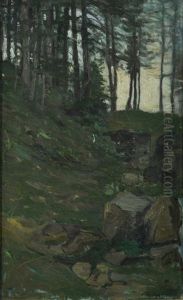 Il Bosco by Pietro Fragiacomo
