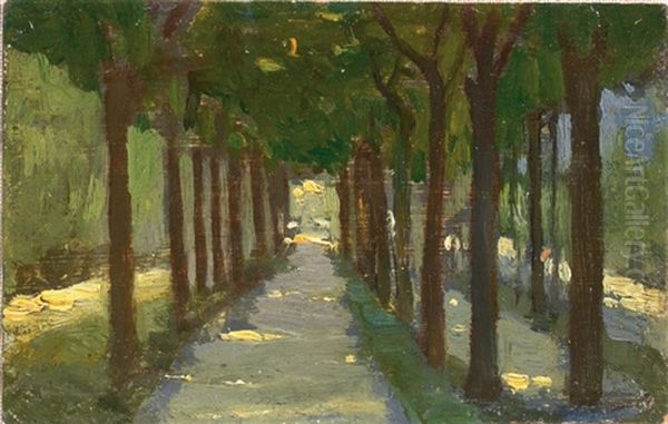 Viale Alberato - view 1