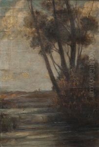 Alberi In Palude by Pietro Fragiacomo