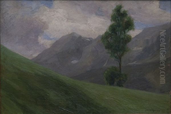 Albero Solitario - view 1