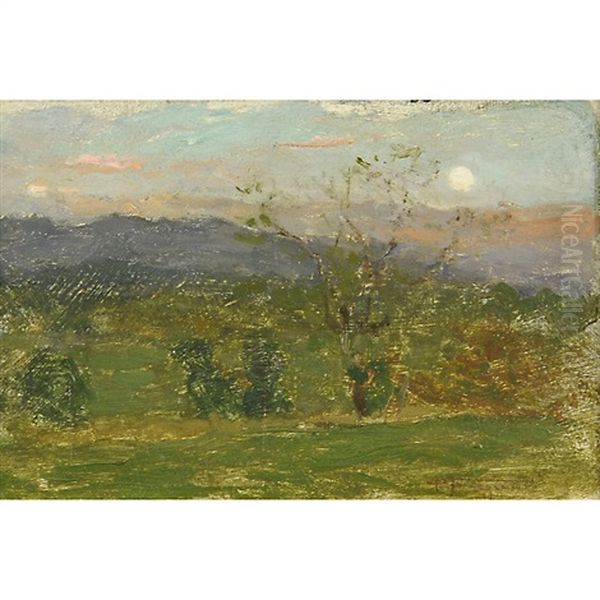 Colline - view 1