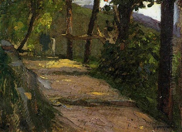 Strada Nel Bosco - view 1