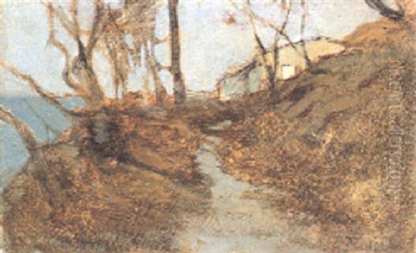 Una Casetta Sul Carso - view 1