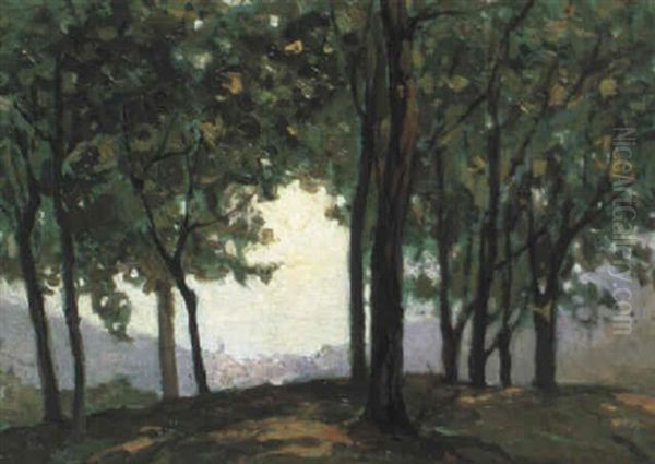 Woodland Scene - view 1