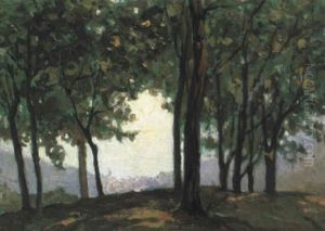 Woodland Scene Woodland Scene