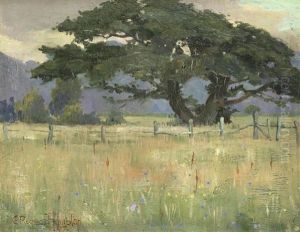 Landscape Landscape
