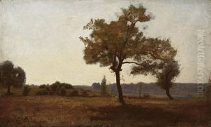 Landschaft Bei Cernay Landschaft Bei Cernay