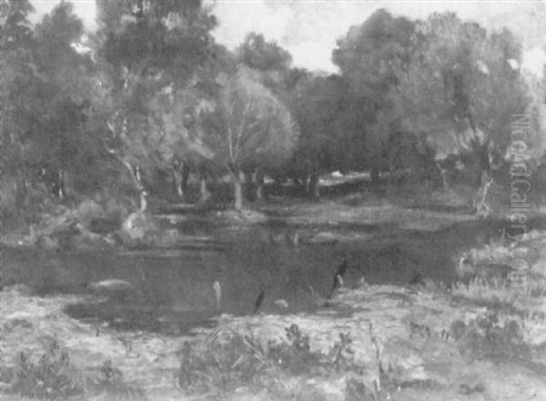 L'etang - view 1