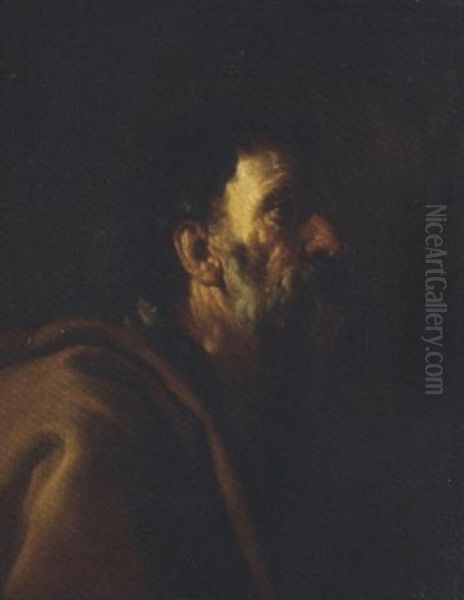Head Of A Bearded Man (saint Peter?) - view 1
