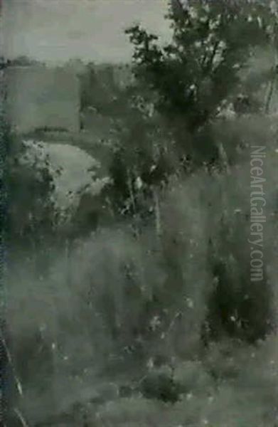 Poppies - view 1