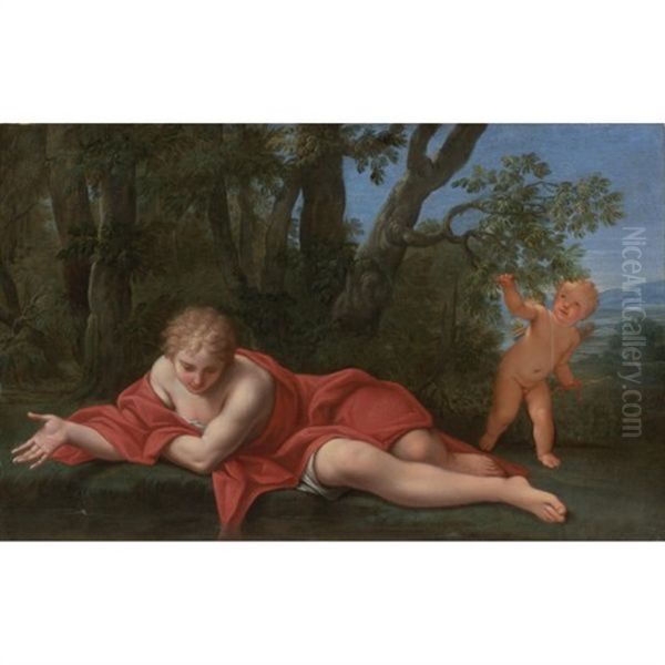 Narcissus - view 1