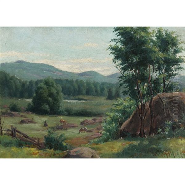 Pasture With Grazing Cattle - view 1