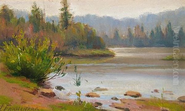 Shoreline - view 1